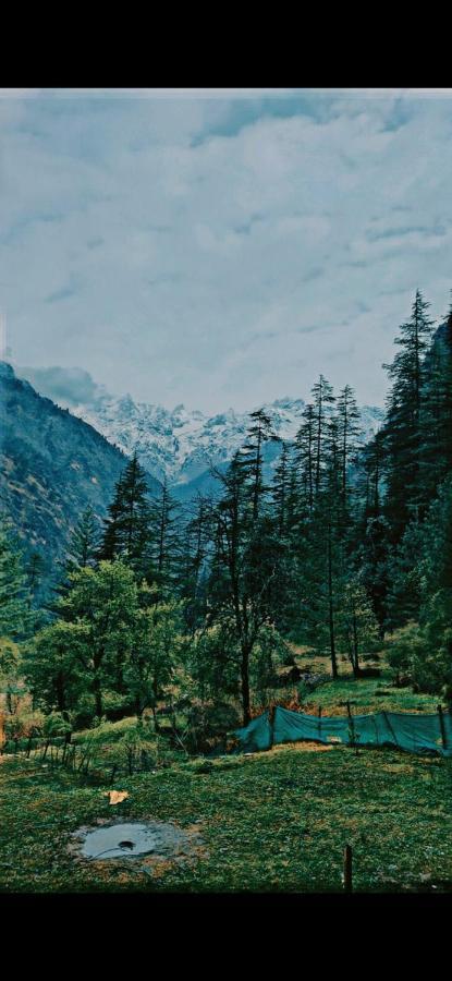 Shanti People Huts & Camp Kasol Dış mekan fotoğraf