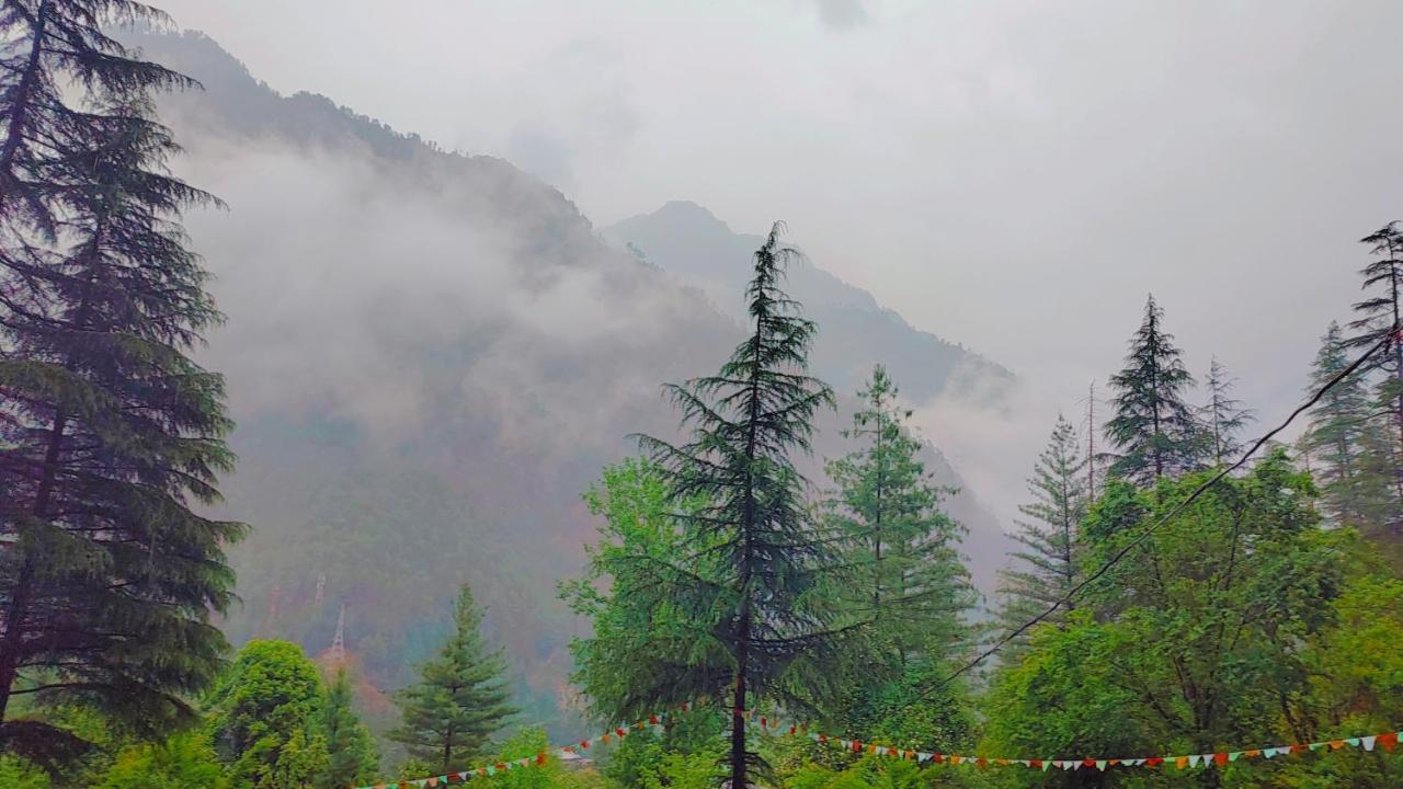 Shanti People Huts & Camp Kasol Dış mekan fotoğraf