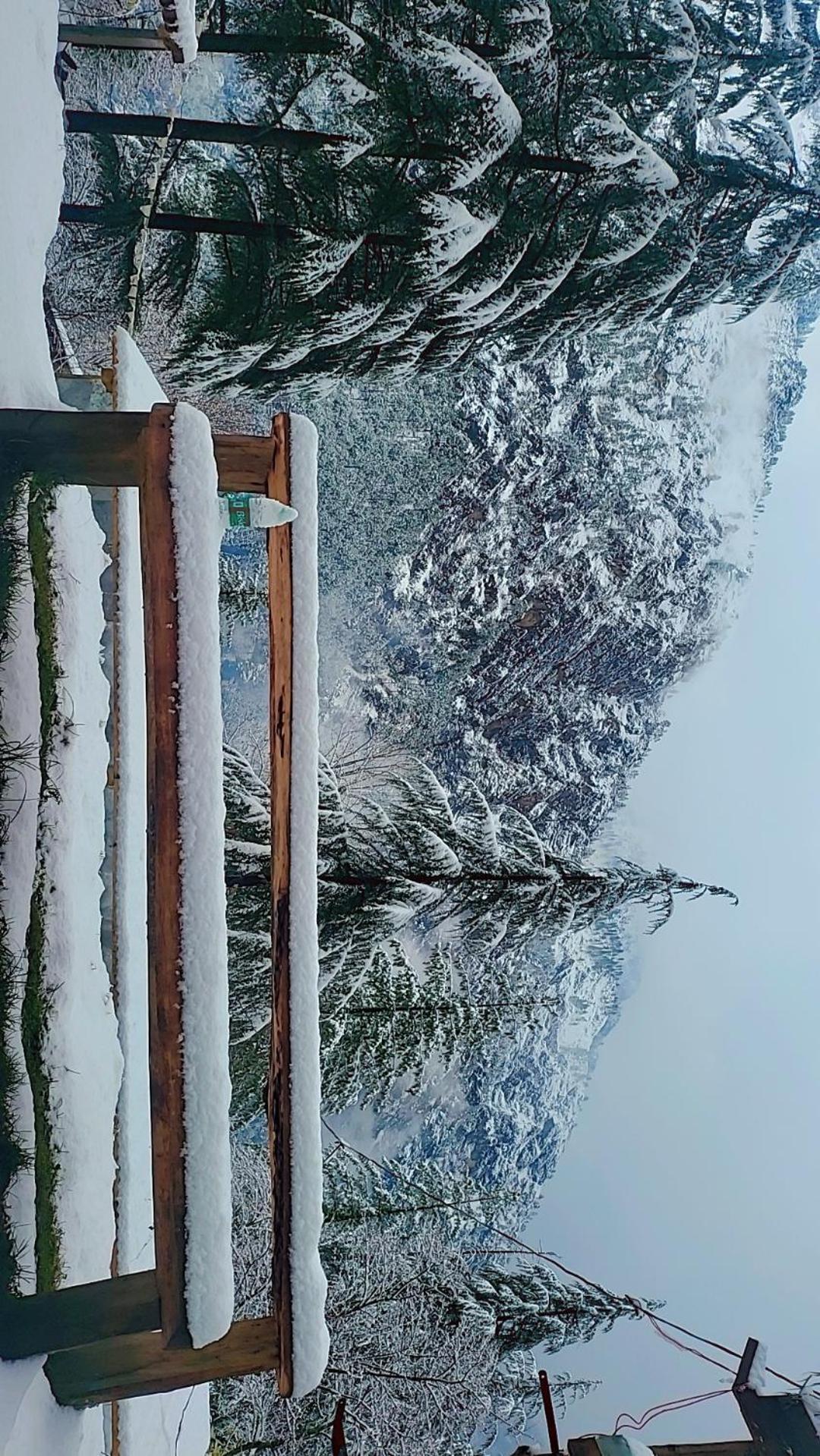 Shanti People Huts & Camp Kasol Dış mekan fotoğraf